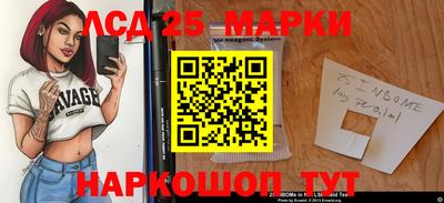 ПСИЛОЦИБИНОВЫЕ ГРИБЫ Гатчина