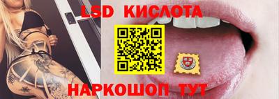 ПСИЛОЦИБИНОВЫЕ ГРИБЫ Гатчина