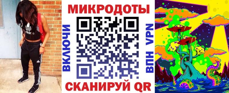 купить  сайты  Малоярославец  Псилоцибиновые грибы мицелий 