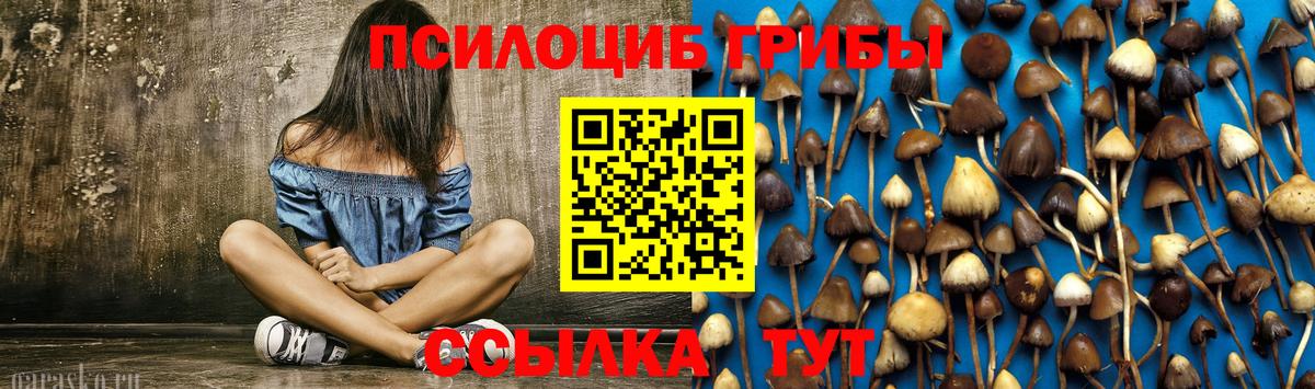Псилоцибиновые грибы мухоморы  даркнет сайт  Псилоцибиновые грибы мухоморы  Малоярославец  Вход с VPN 