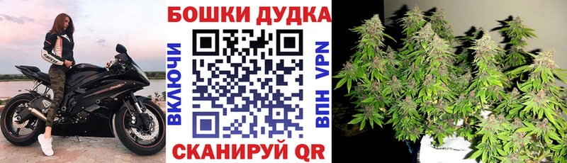 kraken ссылки  Малоярославец  Канабис план 